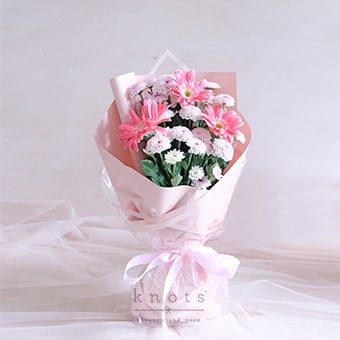 Pink Delight (Pink Gerbera Bouquet)