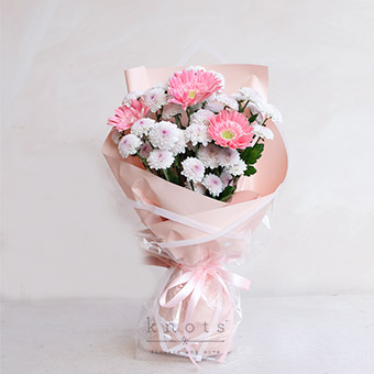 Pink Delight (Pink Gerbera Bouquet)