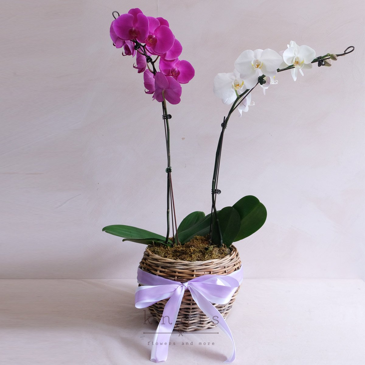 Sweetly Divine (Orchids in a Basket)