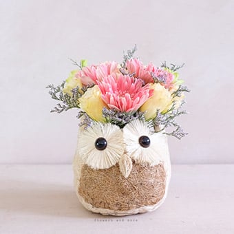 Owl Overyjoy