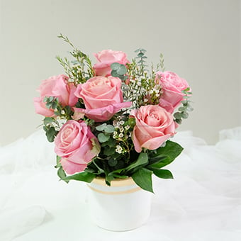 Freya (Pink Ecuadorian Roses Arrangement)