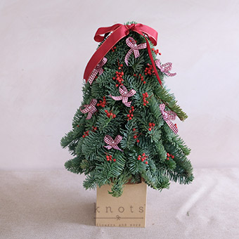 Holly Berry ( Mini Nobilis Pine Tree)