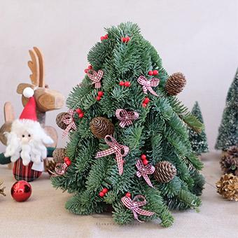 Mini Christmas Pine Tree